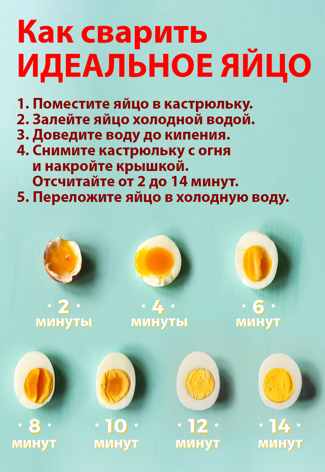 Минсельхоз подтвердил ожидания снижения цен на яйца в ближайшее время »  Yartsevo.Ru - Все о Ярцеве