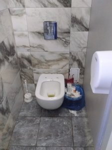 Новые злоключения нового туалета