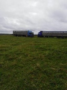 На Смоленщине добивают сельское хозяйство