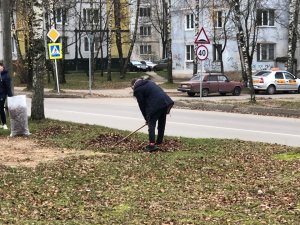 Акция ярцевских волонтёров «Осенний листопад» в честь Дня доброты