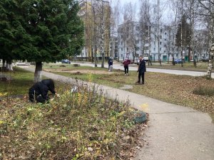 Акция ярцевских волонтёров «Осенний листопад» в честь Дня доброты