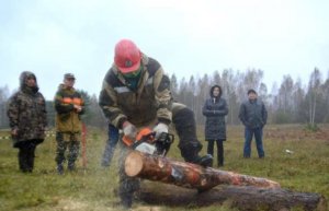 СОРЕВНОВАНИЯ ЛЕСНЫХ ПОЖАРНЫХ