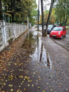 Лужи на тротуаре. Не обойти!