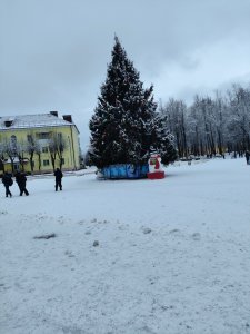 Ярцевская ёлка признана самой красивой