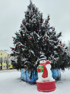 Ярцевская ёлка признана самой красивой